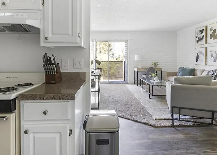 Apartment Landing Modern With Amazing Amenities Tucson